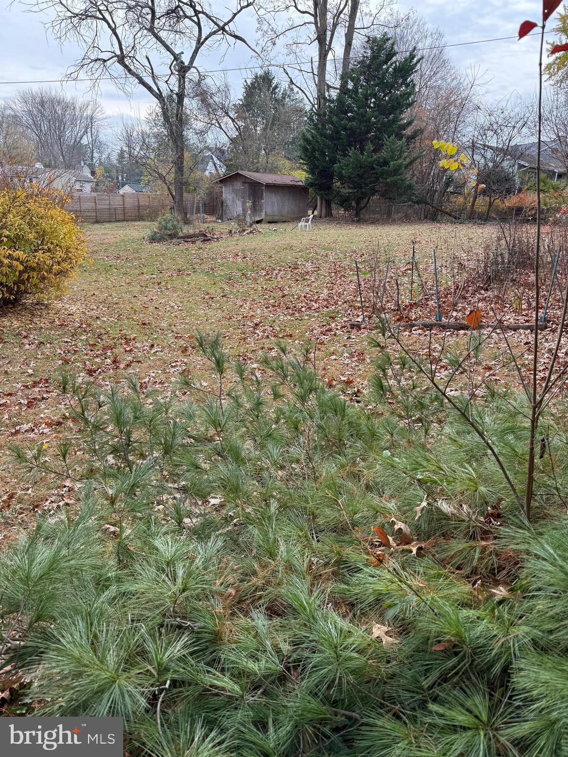 2540 Flint Hill Road Vienna, VA 22181 - Photo 3 of 7 a view of large yard with green space
