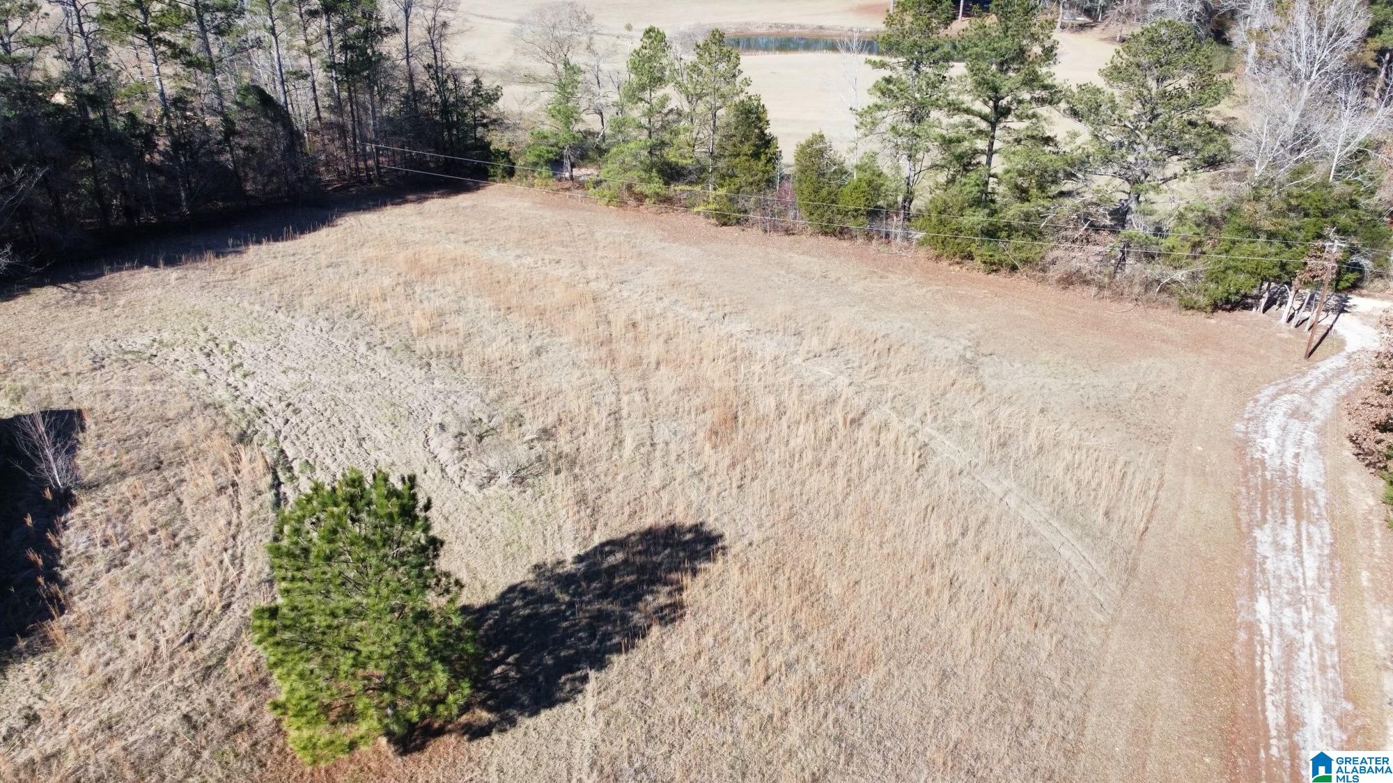 40 County Road 494 Verbena, AL 36091 - Photo 13 of 16