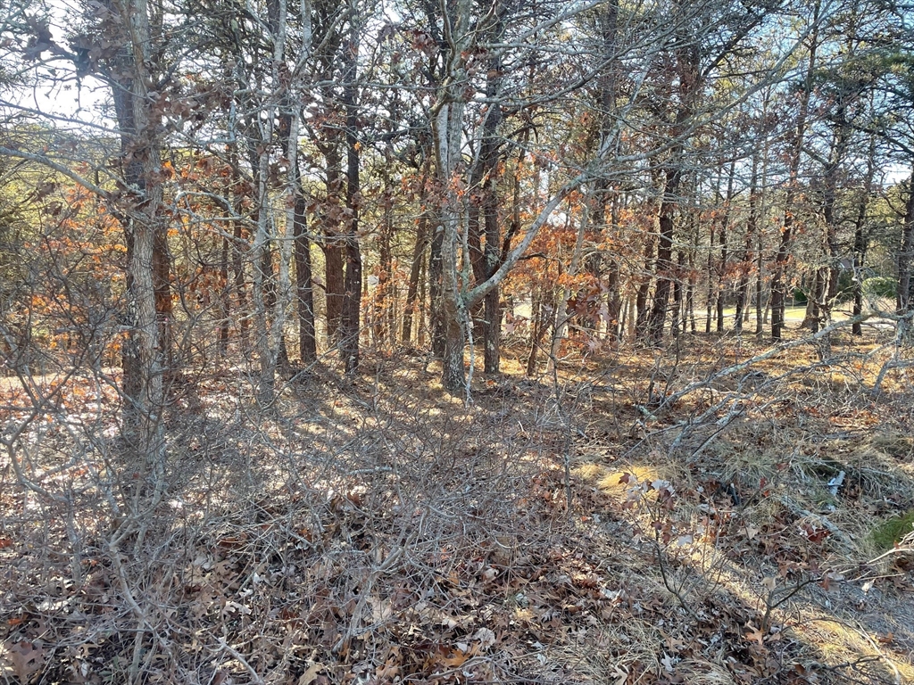 2 Resolution Road Truro, MA 02666 - Photo 4 of 5