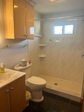 30-32 Joseph Street Springfield, MA 01119 - Photo 15 of 20 a bathroom with a sink toilet and window