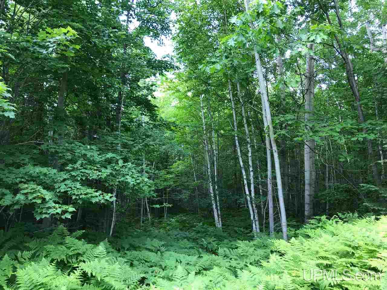 Tbd Usimaki Road Lanse, MI 49946 - Photo 6 of 9