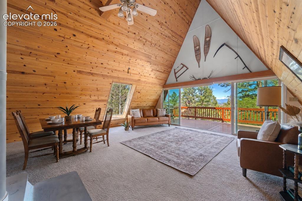 873 Trail Creek Road Lake George, CO 80827 - Photo 7 of 32