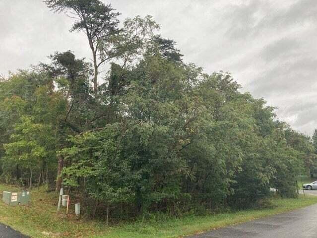 5374 Sundance Road Salem, VA 24153 - Photo 2 of 8 20221003202814098371000000-o