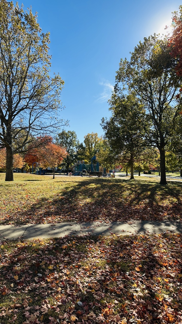 2906 Springhill Lane Champaign, IL 61822 - Photo 41 of 48 a view of lake with outdoor space
