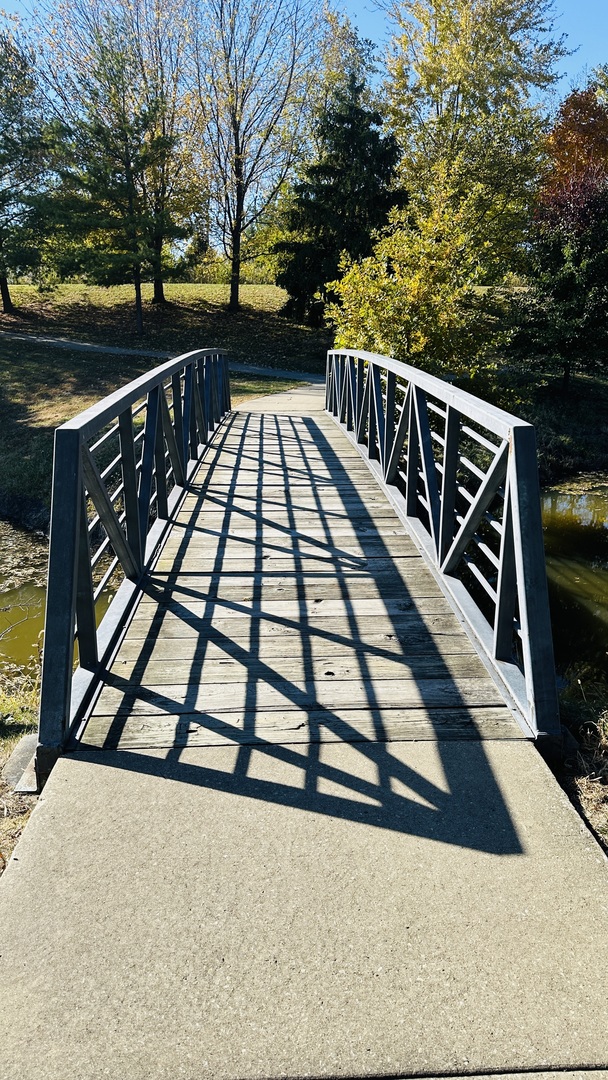 2906 Springhill Lane Champaign, IL 61822 - Photo 43 of 48 a view of staircase going to roof with outdoor seating