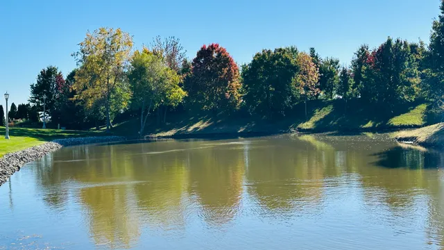 a view of an ocean with trees