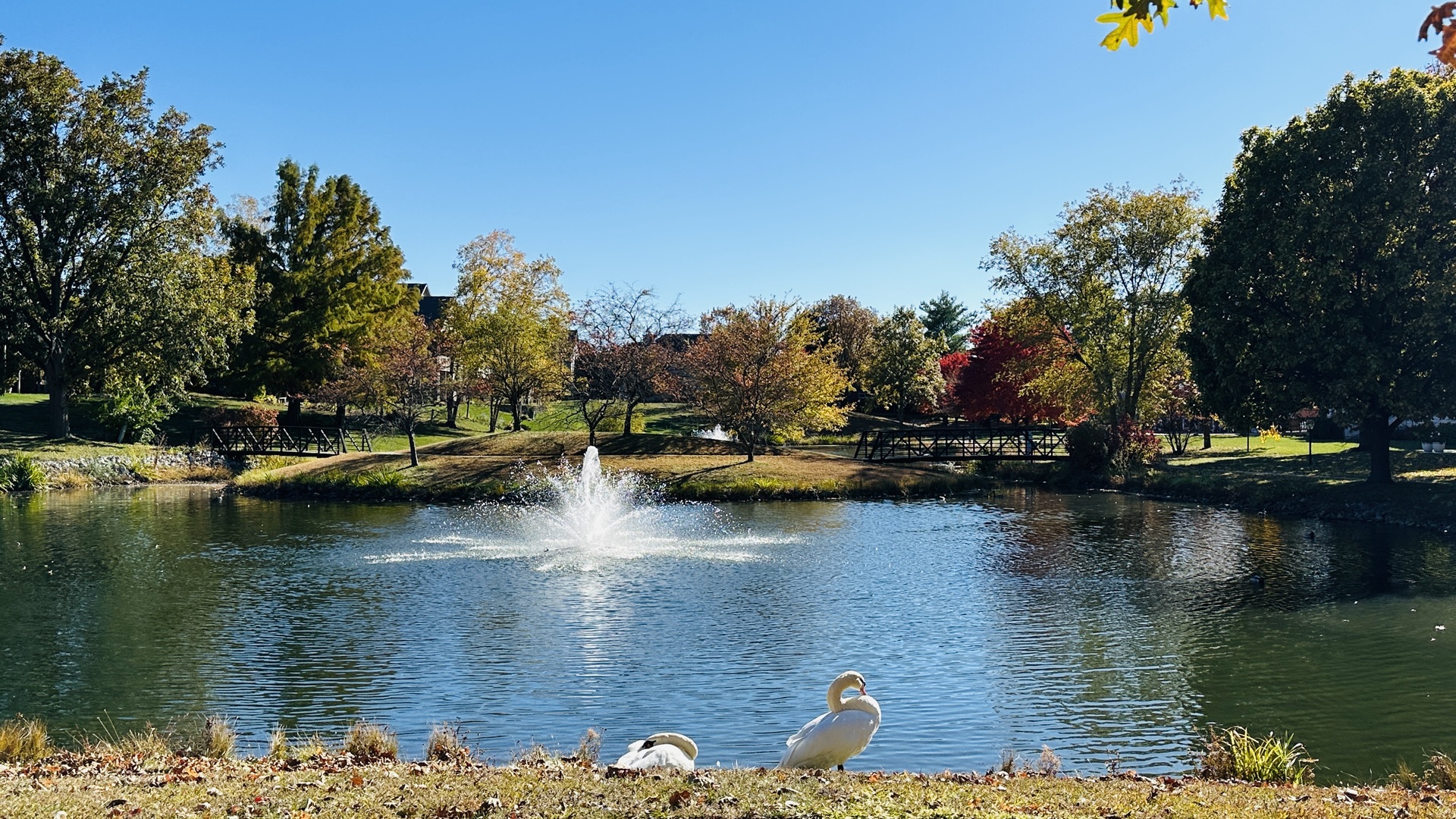 2906 Springhill Lane Champaign, IL 61822 - Photo 47 of 48 a view of lake