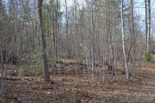 204 Brush Road Lewisburg, WV 24901 - Photo 46 of 60 Gallery Image 46