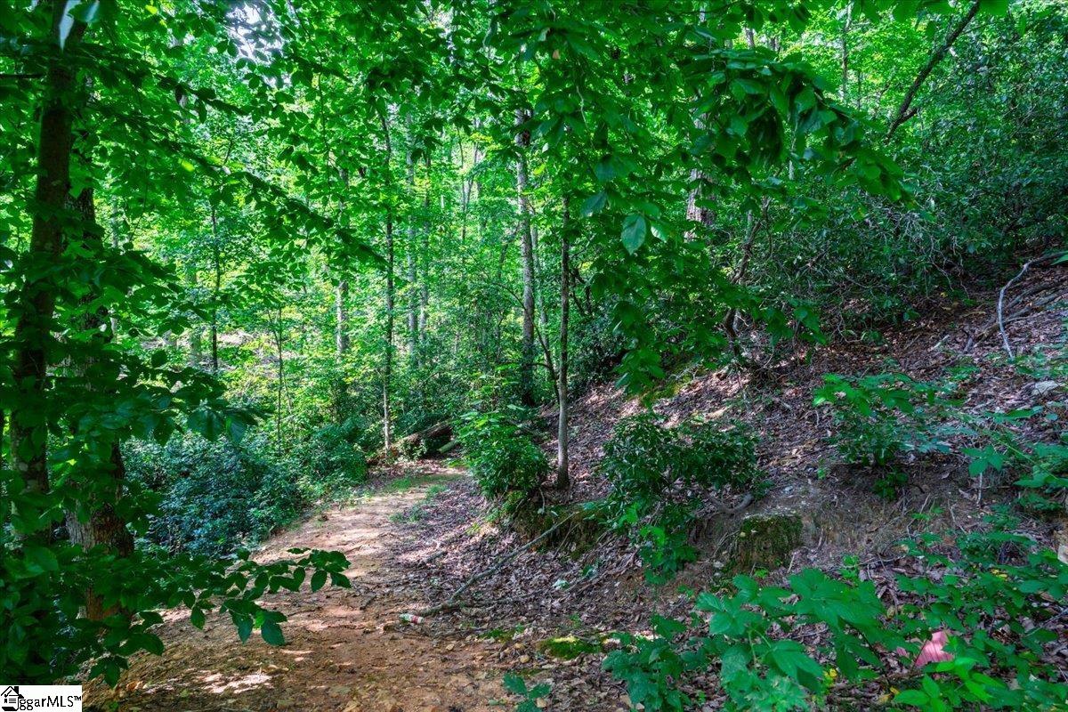 791 Mt Tabor Church Road Pickens, SC 29671 - Photo 30 of 35