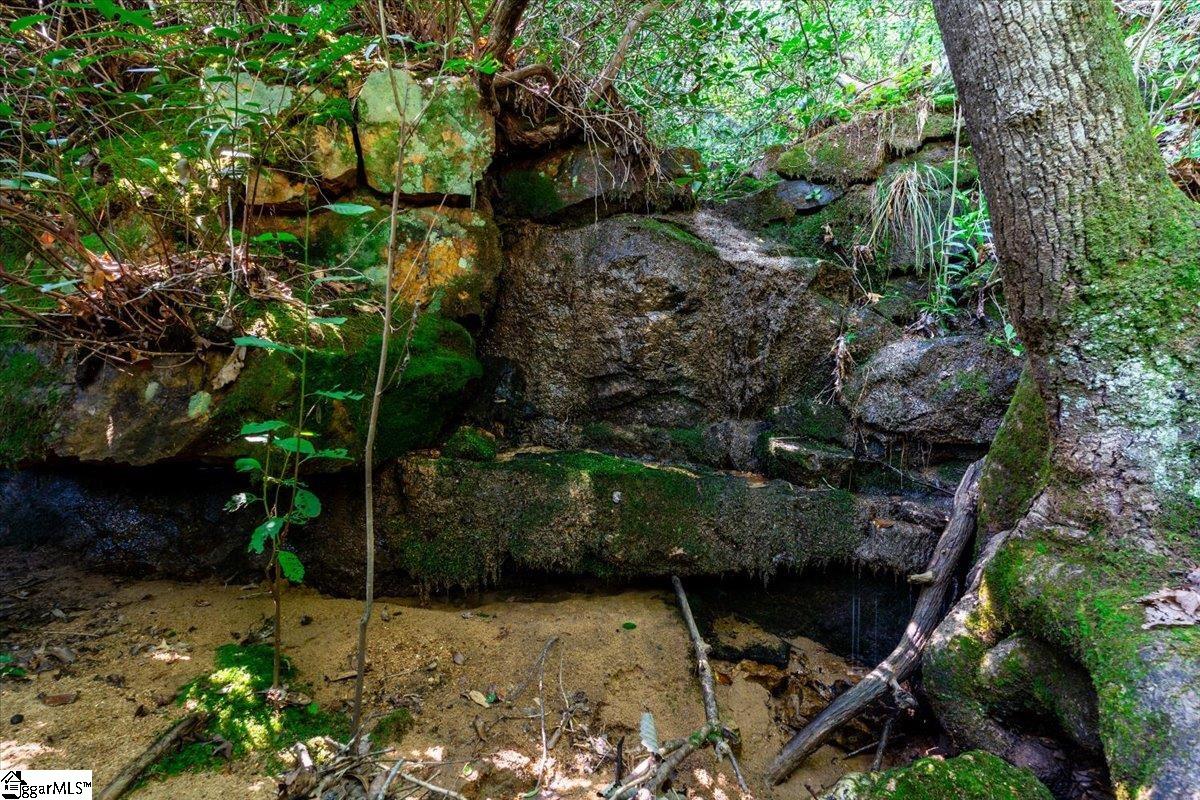 791 Mt Tabor Church Road Pickens, SC 29671 - Photo 31 of 35