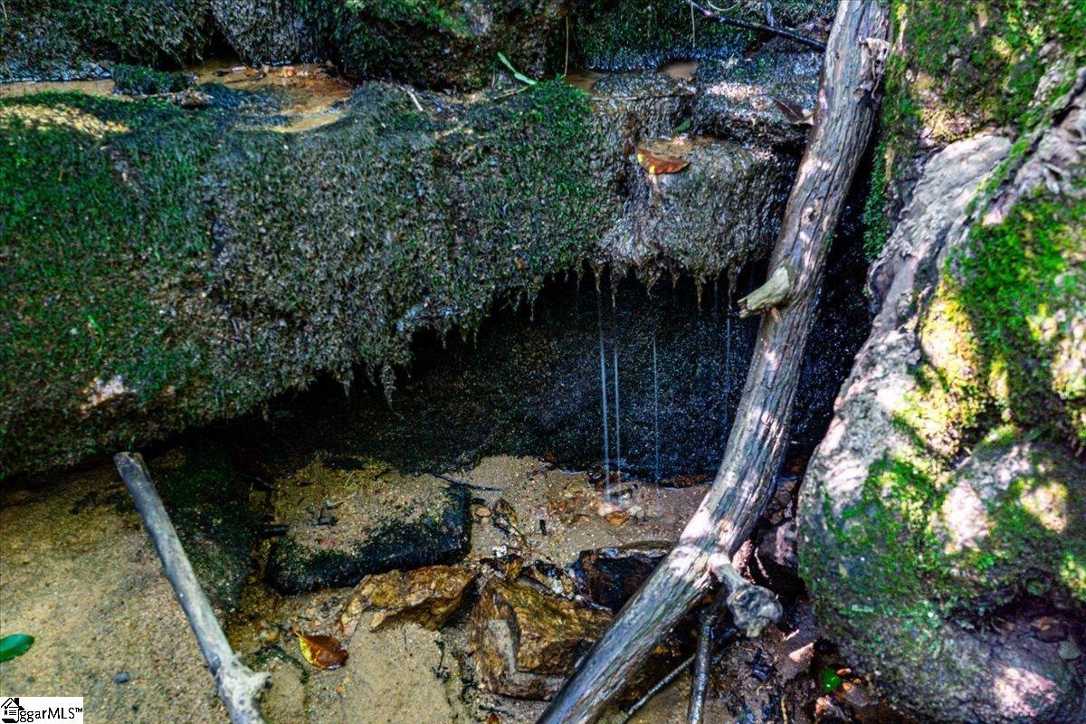 791 Mt Tabor Church Road Pickens, SC 29671 - Photo 32 of 35