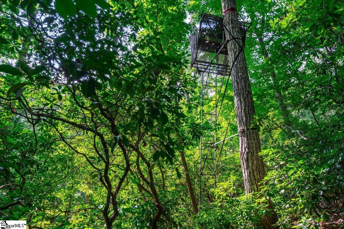 791 Mt Tabor Church Road Pickens, SC 29671 - Photo 33 of 35