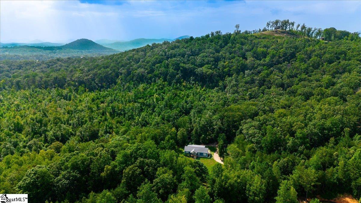 791 Mt Tabor Church Road Pickens, SC 29671 - Photo 35 of 35