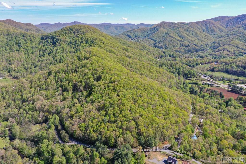 688 Caney Fork Road Cullowhee, NC 28723 - Photo 64 of 65 Gallery Image 64