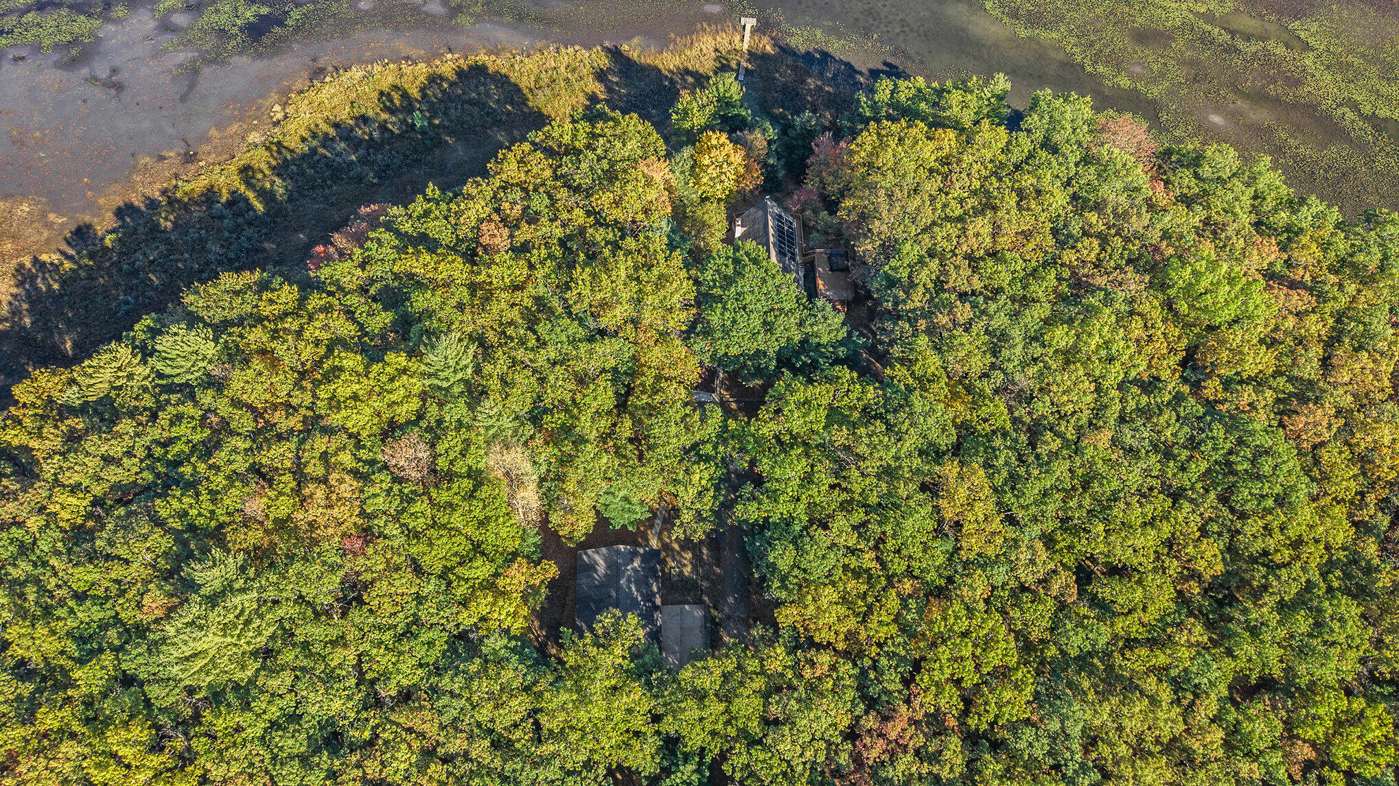 1840 South Campbell Road Branch, MI 49402 - Photo 46 of 67 038_dji_20251009161451_0010_d_906