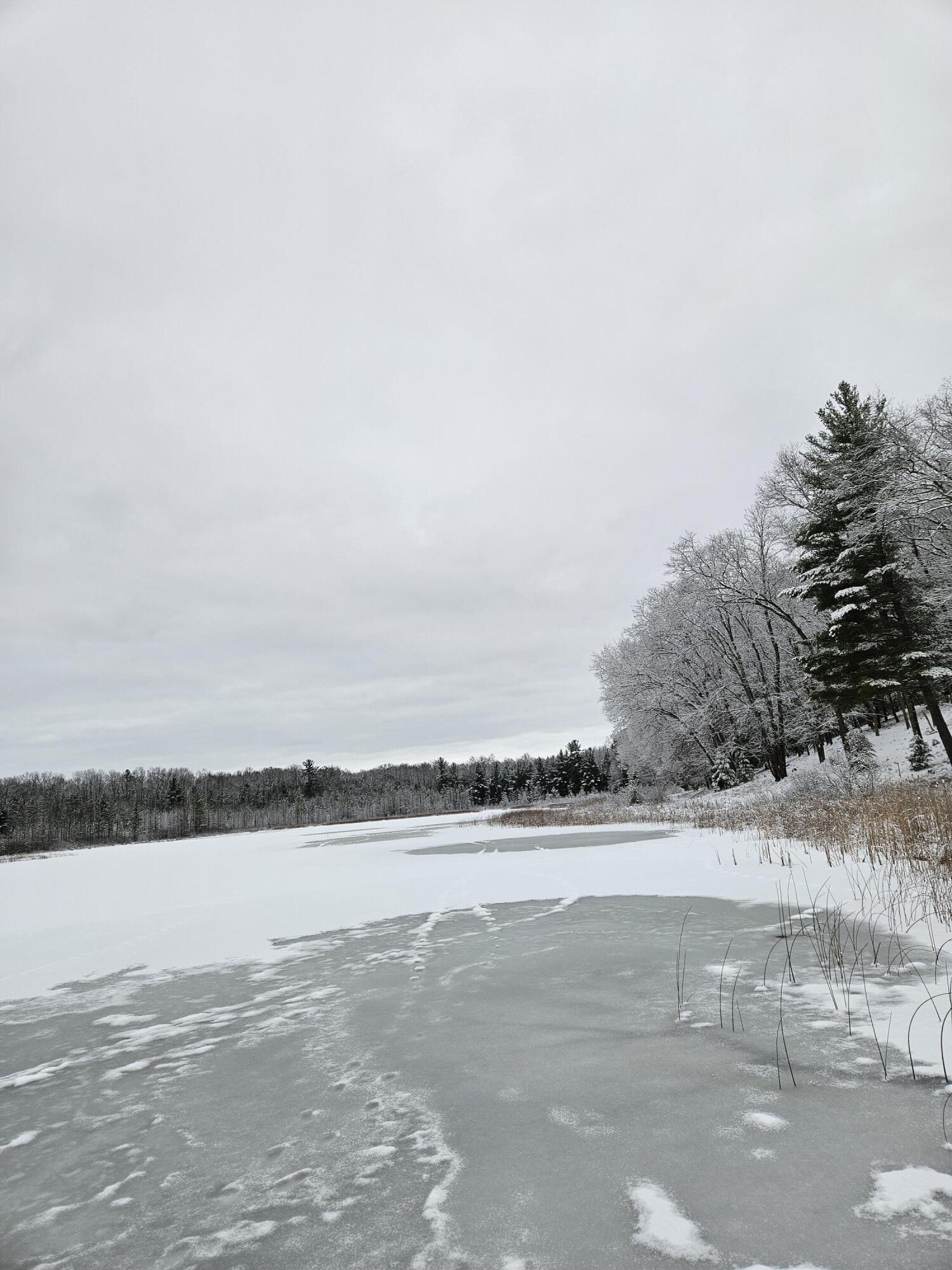 1840 South Campbell Road Branch, MI 49402 - Photo 47 of 67 20241224_104244