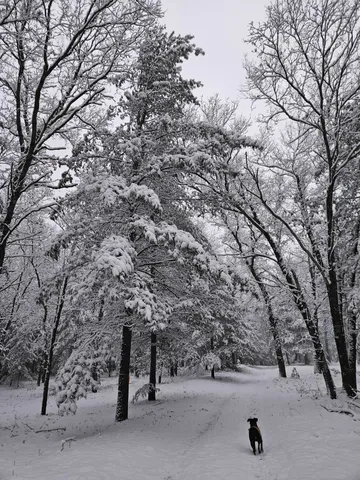 $517,900 | 1840 South Campbell Road, Branch, MI 49402