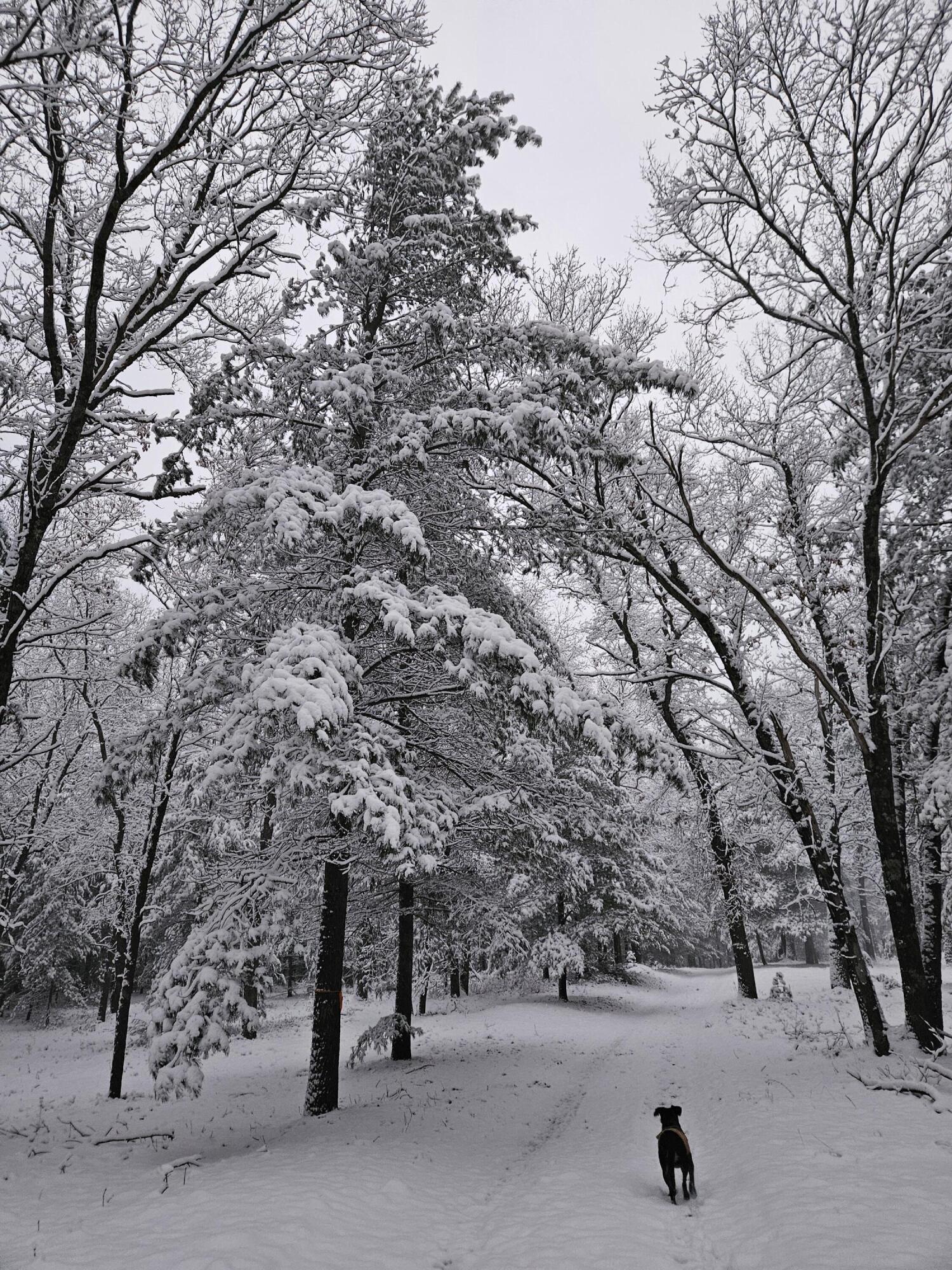 1840 South Campbell Road Branch, MI 49402 - Photo 49 of 67 20241211_171959