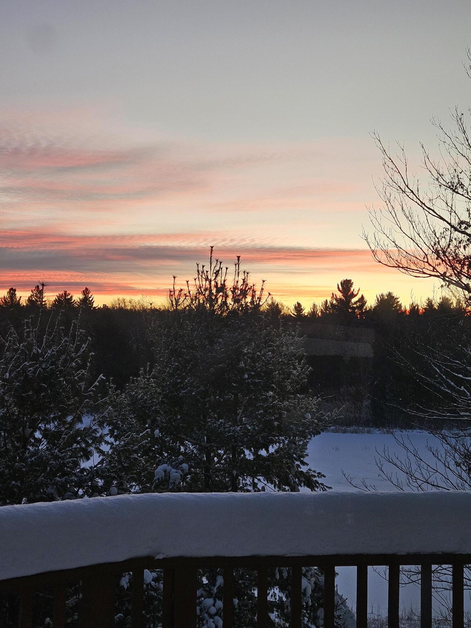 1840 South Campbell Road Branch, MI 49402 - Photo 50 of 67 20241206_075257