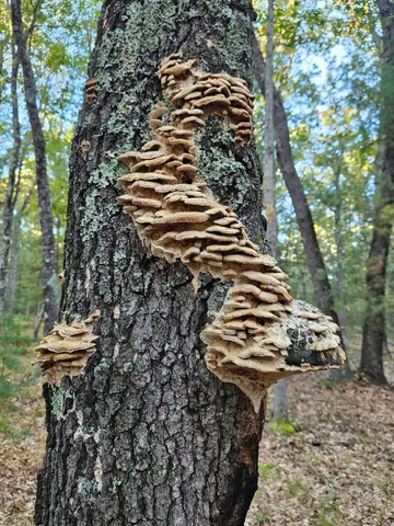 $517,900 | 1840 South Campbell Road, Branch, MI 49402