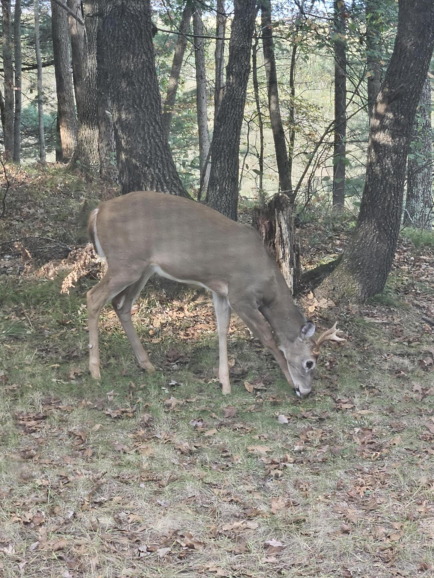 1840 South Campbell Road Branch, MI 49402 - Photo 55 of 67 20240926_165648