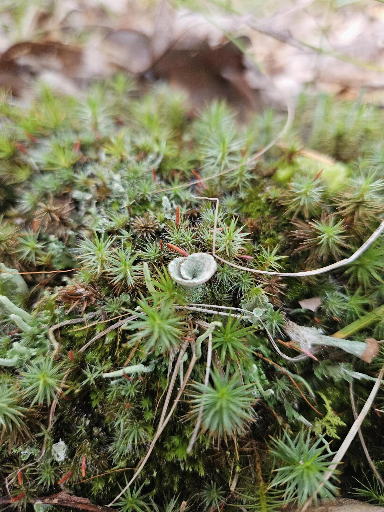 1840 South Campbell Road Branch, MI 49402 - Photo 56 of 67 20240927_182418