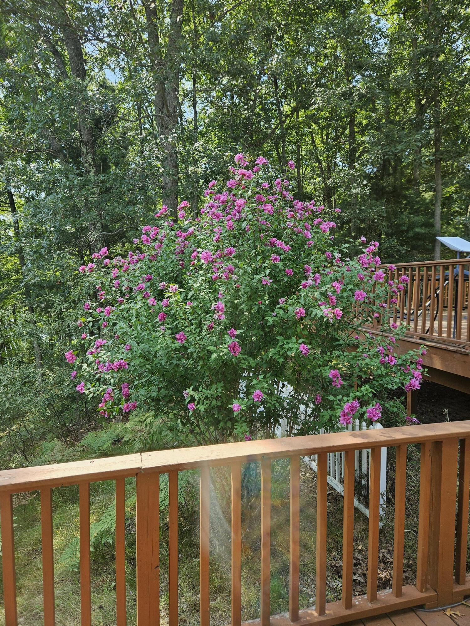 1840 South Campbell Road Branch, MI 49402 - Photo 58 of 67 20240824_124632