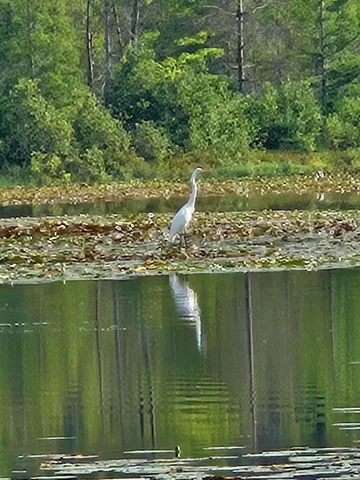 $517,900 | 1840 South Campbell Road, Branch, MI 49402