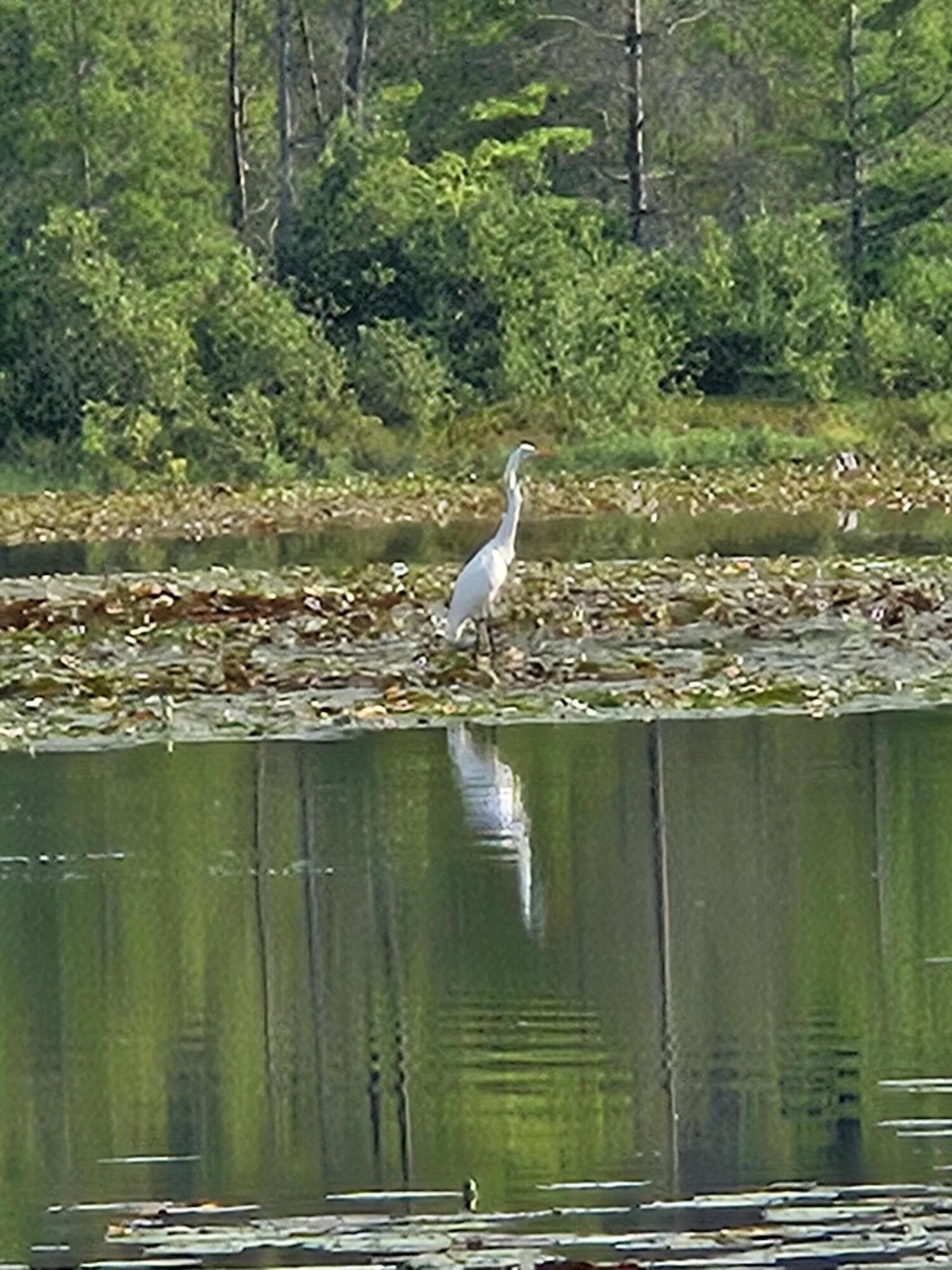 1840 South Campbell Road Branch, MI 49402 - Photo 59 of 67 20240804_172952