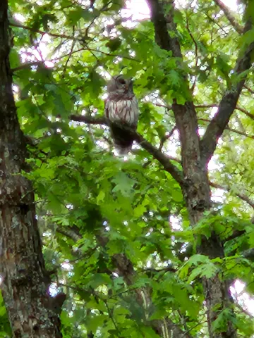 $517,900 | 1840 South Campbell Road, Branch, MI 49402