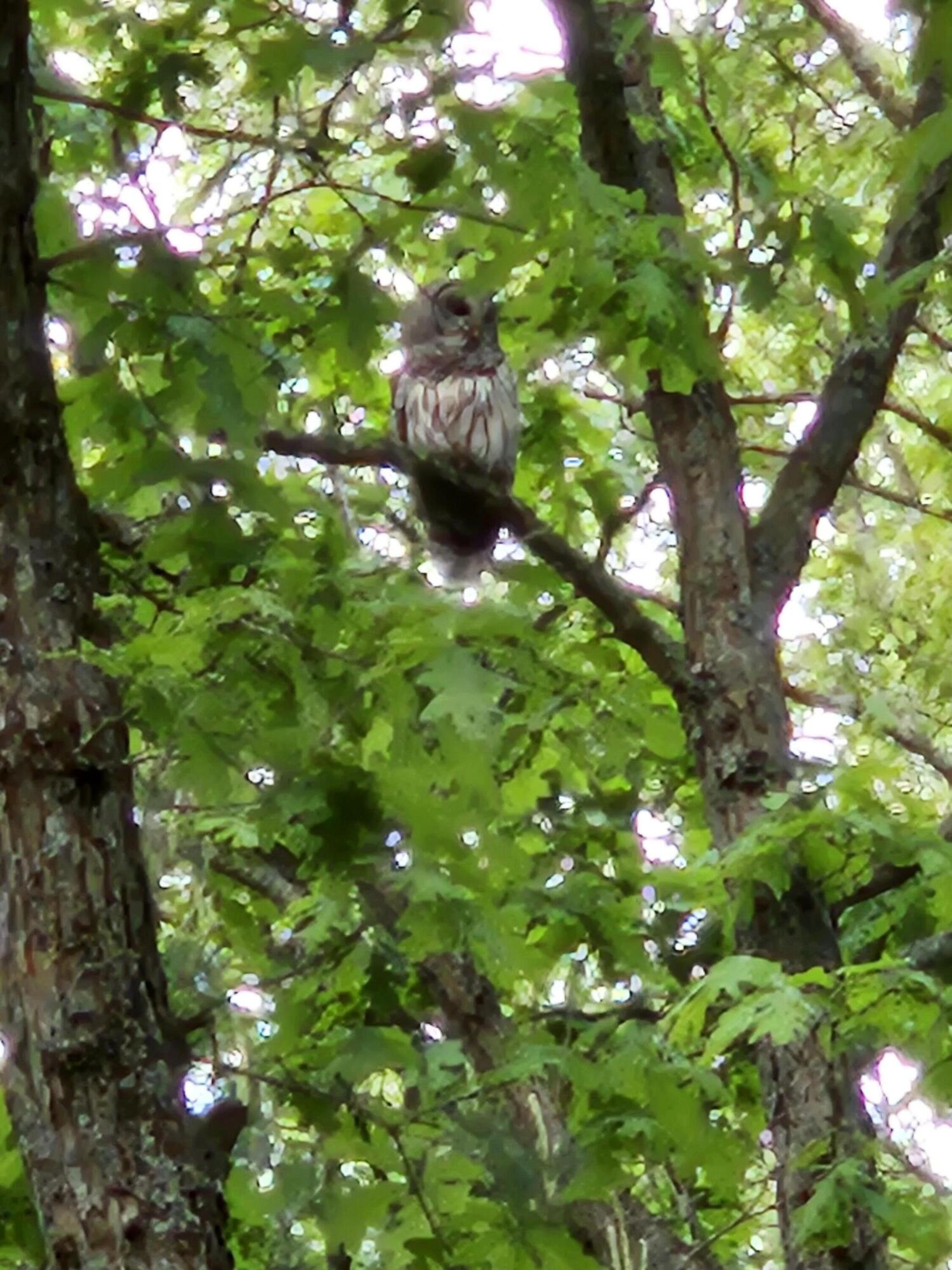 1840 South Campbell Road Branch, MI 49402 - Photo 61 of 67 20240529_063324