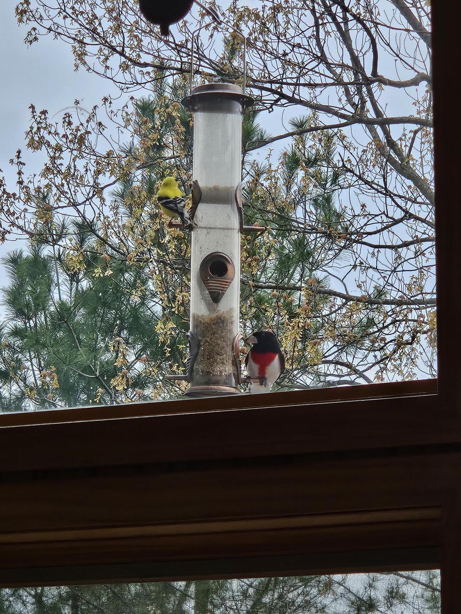 1840 South Campbell Road Branch, MI 49402 - Photo 63 of 67 20240509_132318