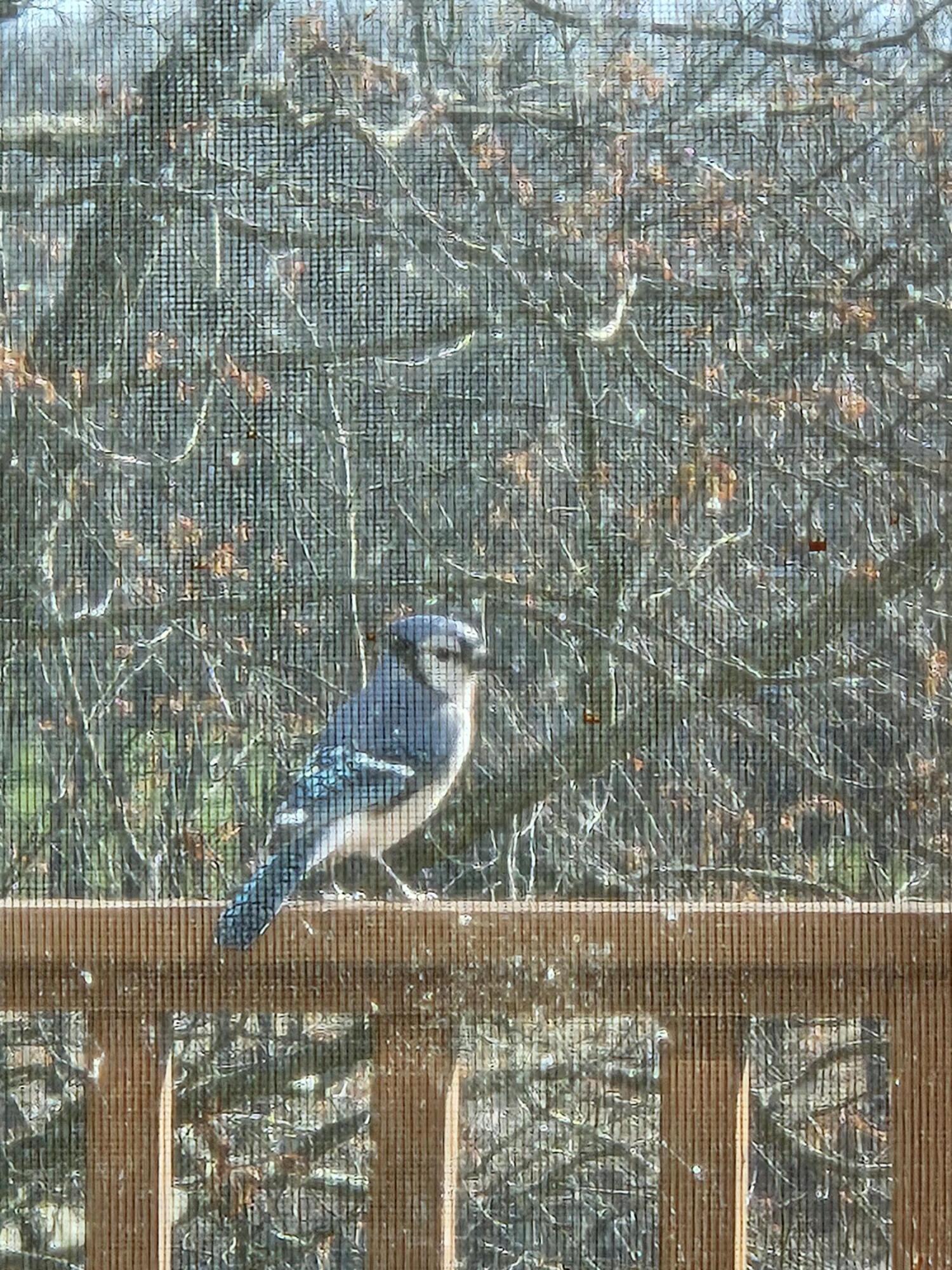 1840 South Campbell Road Branch, MI 49402 - Photo 64 of 67 20240425_094552