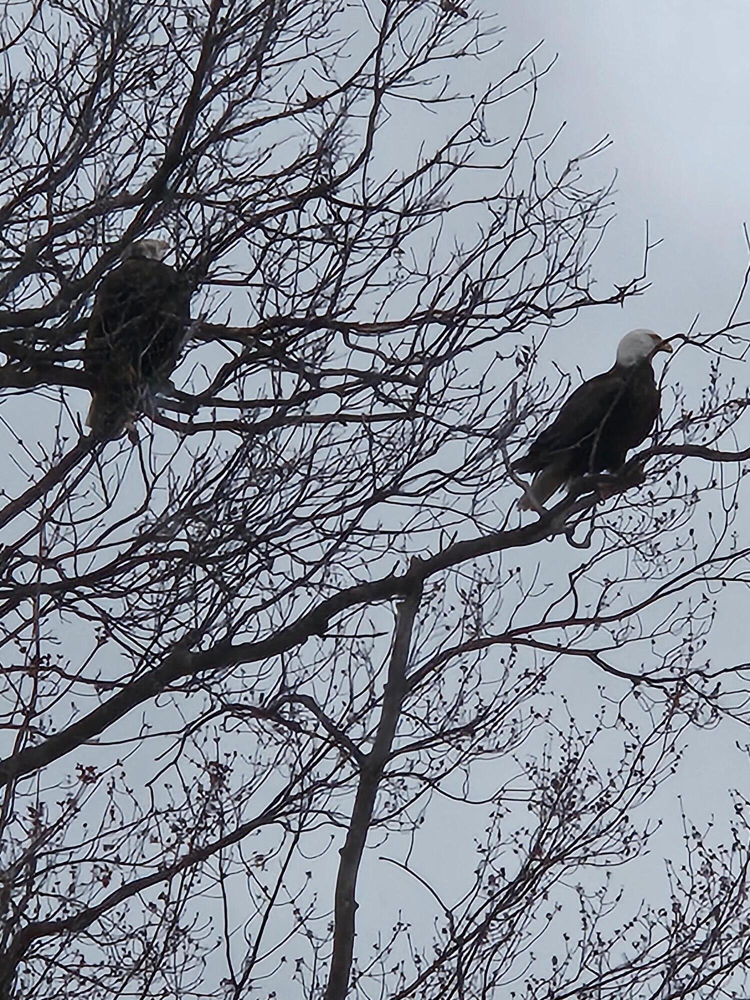1840 South Campbell Road Branch, MI 49402 - Photo 65 of 67 20240407_195501