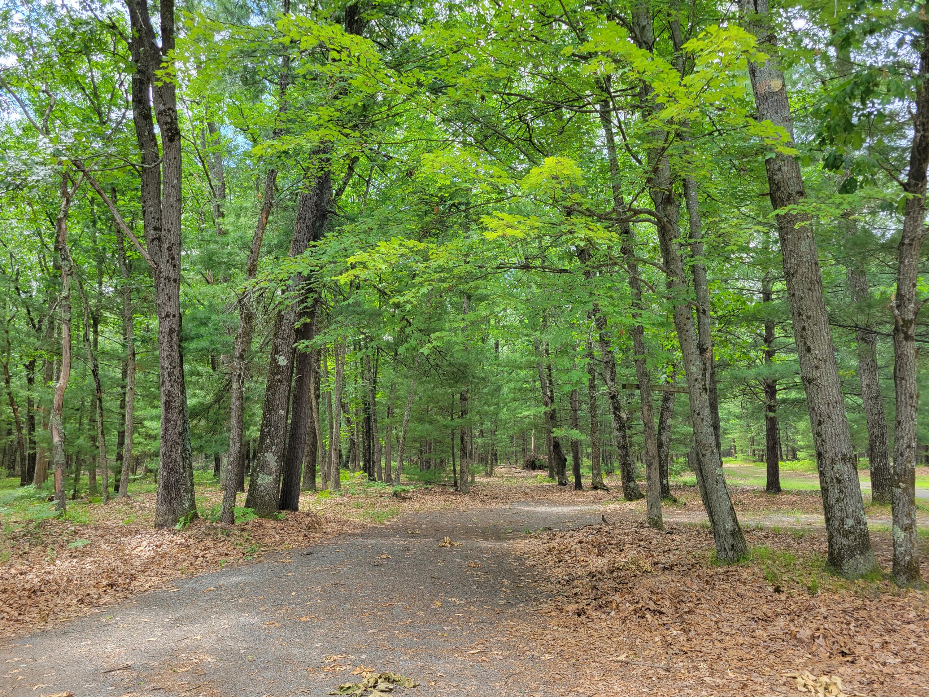 1840 South Campbell Road Branch, MI 49402 - Photo 66 of 67 20220706_135340