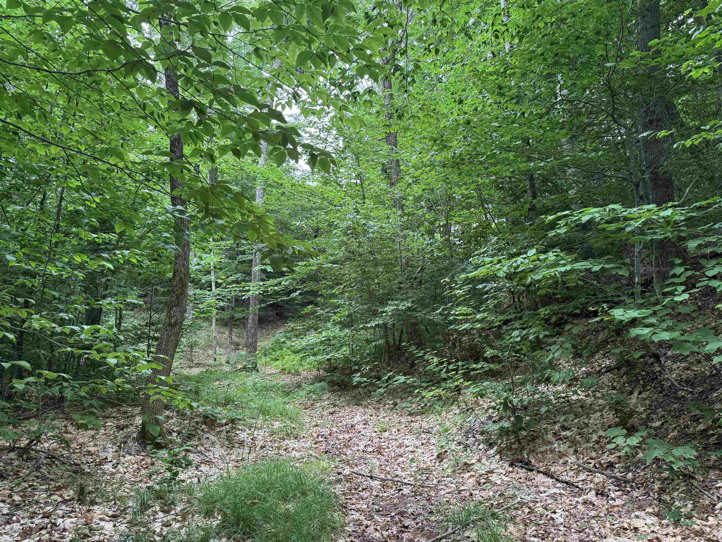 185 Valley View Road West Dover, VT 05356 - Photo 27 of 30