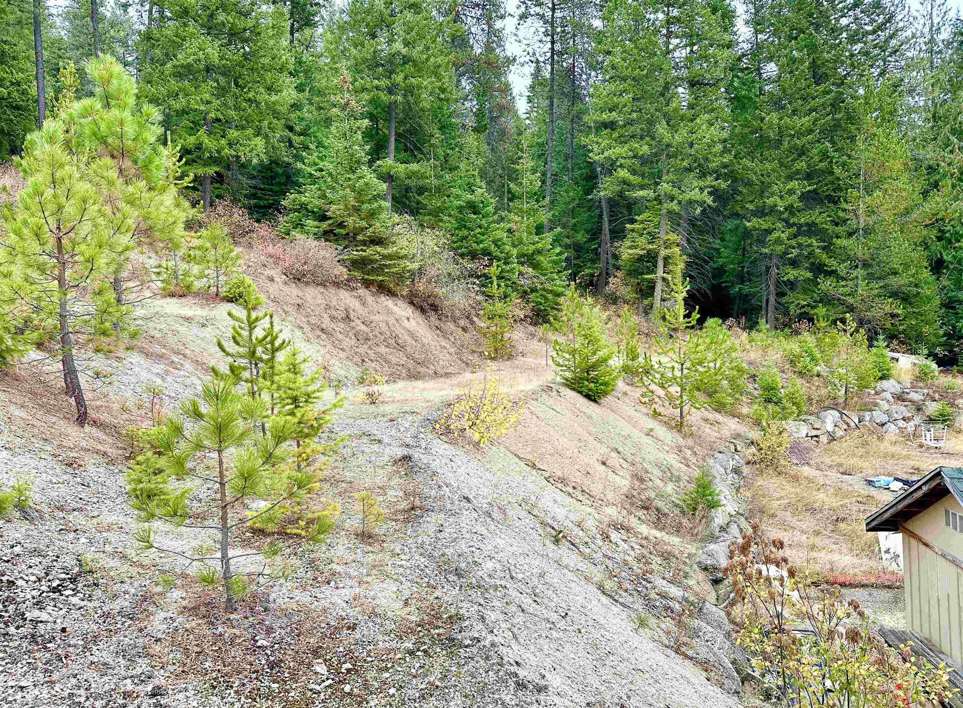 28018 North Jackson Road Chattaroy, WA 99003 - Photo 37 of 47