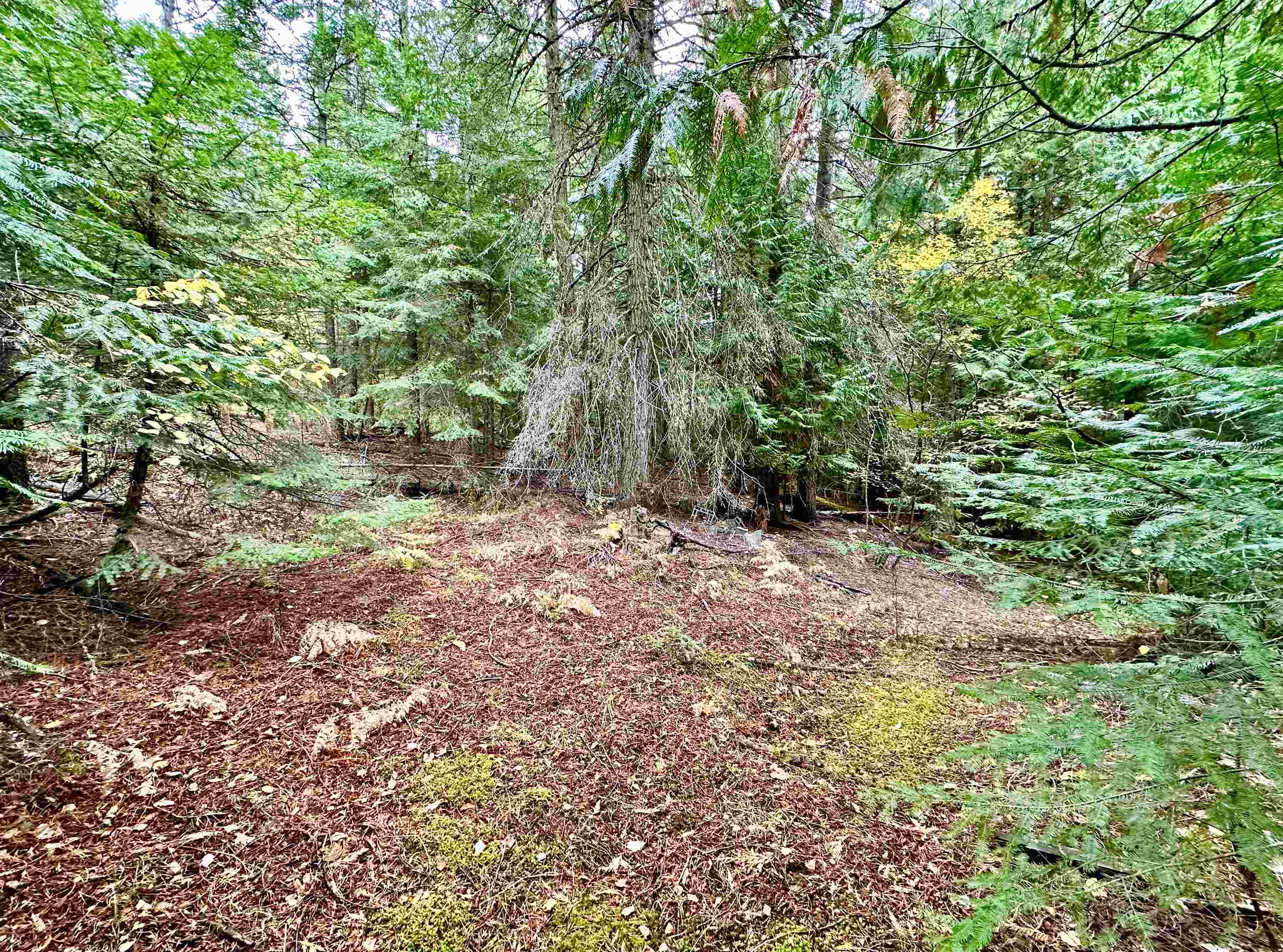 28018 North Jackson Road Chattaroy, WA 99003 - Photo 39 of 47