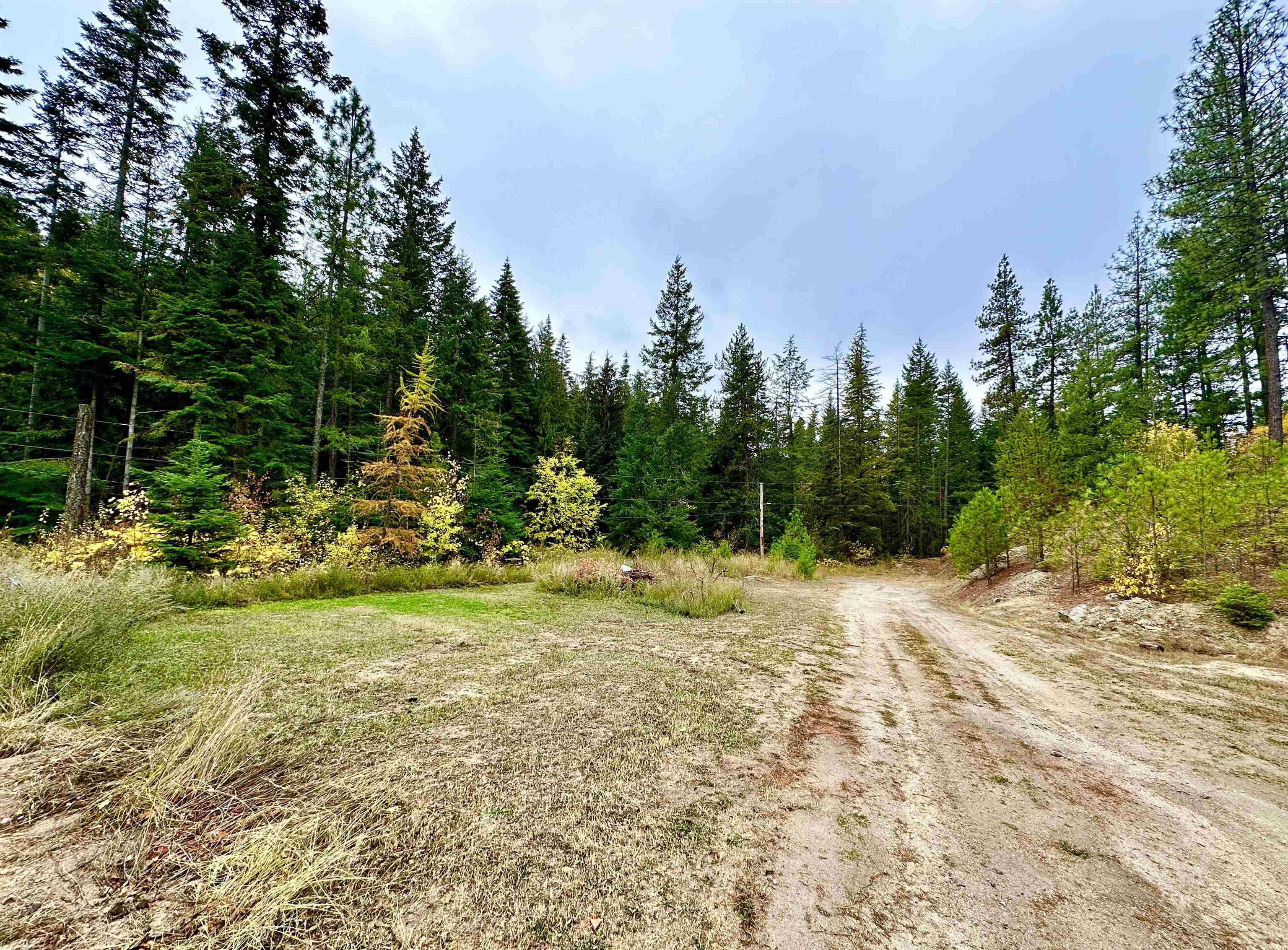 28018 North Jackson Road Chattaroy, WA 99003 - Photo 47 of 47