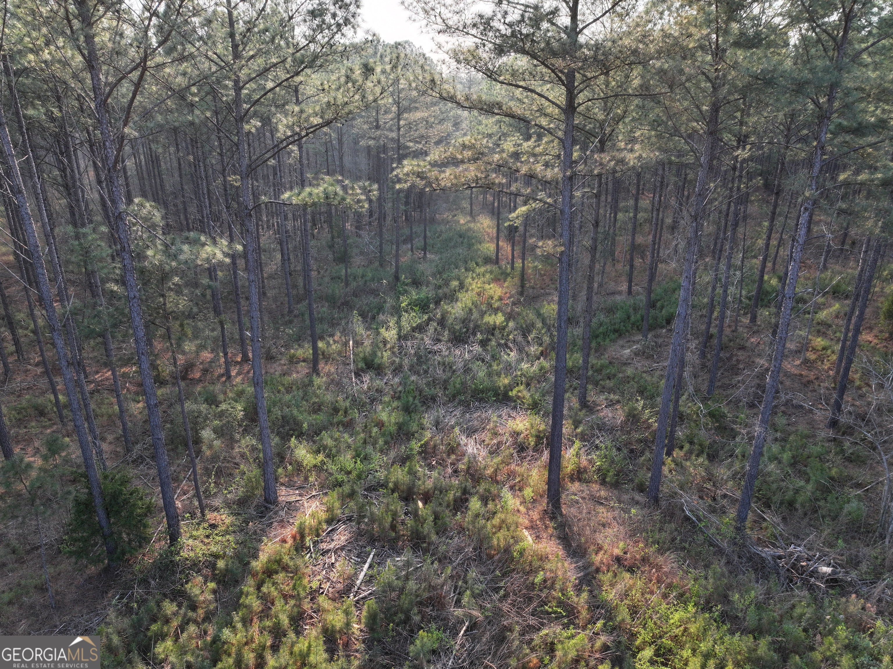 117 Acres On Mccosh Mill Road Franklin, GA 30217 - Photo 17 of 24