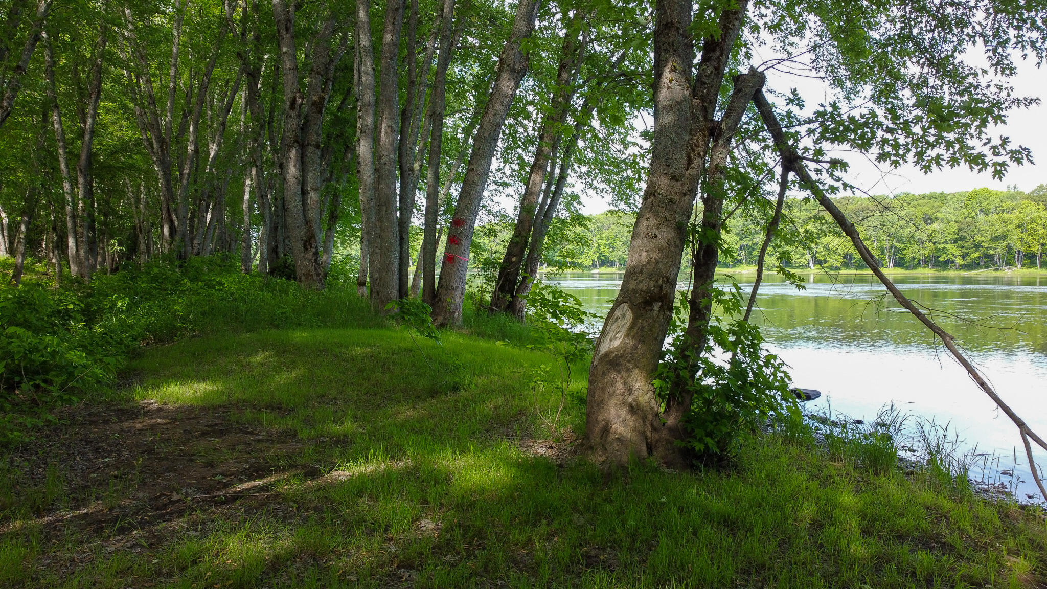 Tbd Mohawk Road Lincoln, ME 04457 - Photo 5 of 29 DJI_0474