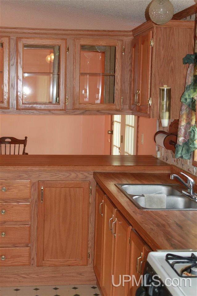 17425 Co Road Wilson, MI 49896 - Photo 3 of 23