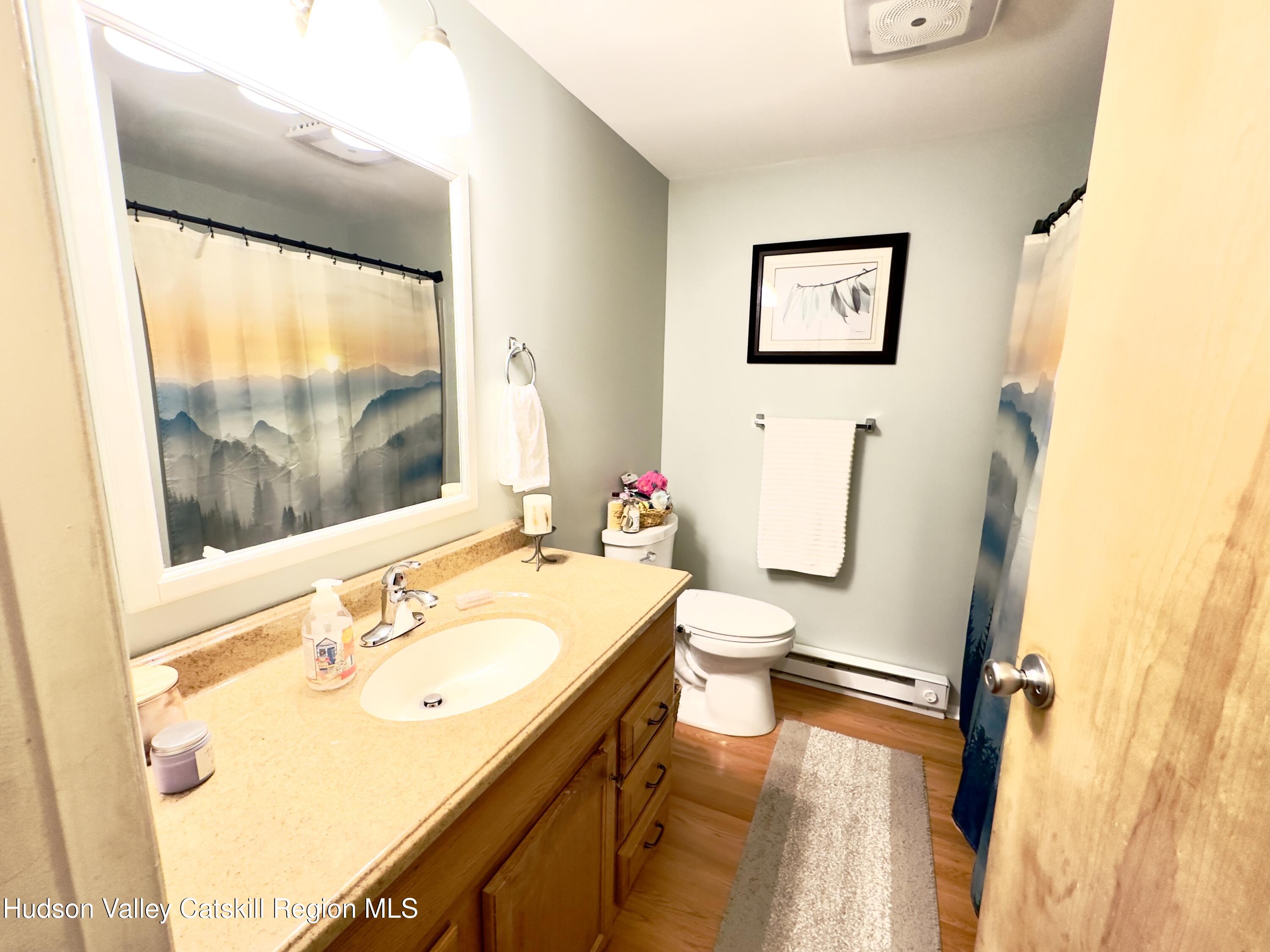 809 Sleepy Hollow Road Athens, NY 12015 - Photo 13 of 24 IMG_5576