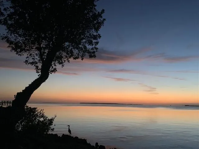 $749,000 | 97652 Overseas Highway, Unit M11, Key Largo, FL 33037