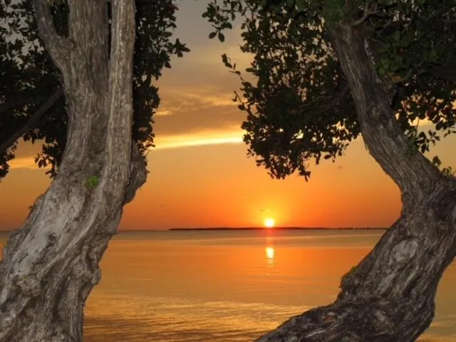 $749,000 | 97652 Overseas Highway, Unit M11, Key Largo, FL 33037