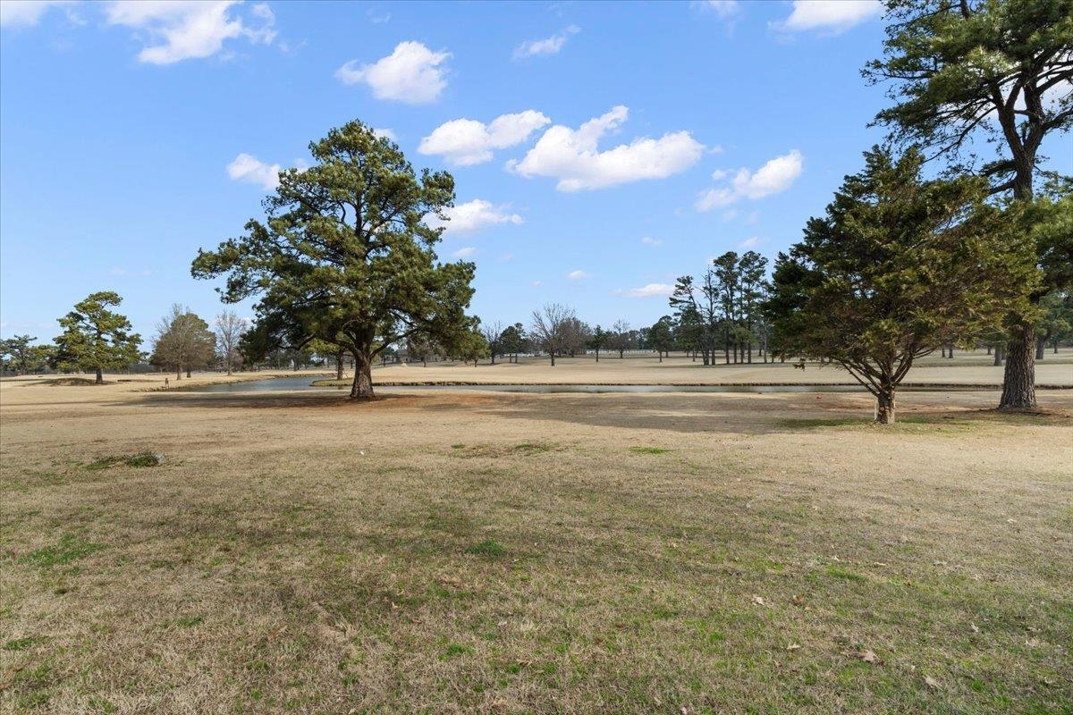 2030 South Main Street Covington, TN 38019 - Photo 3 of 27 a view of dirt field with trees
