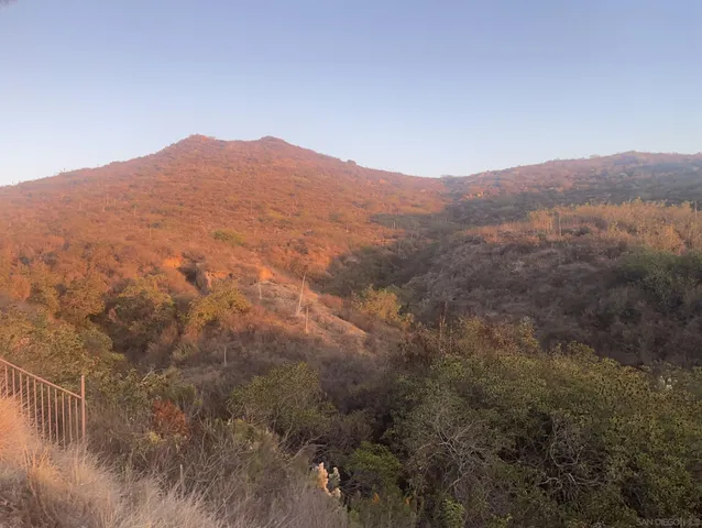 a view of a mountain in the distance in a field