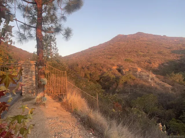 a view of a yard with wooden fence