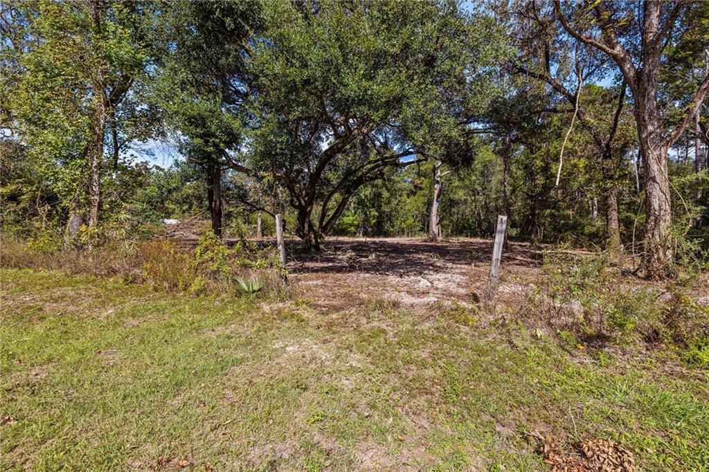 0 Bennett Road Holden, LA 70744 - Photo 11 of 13