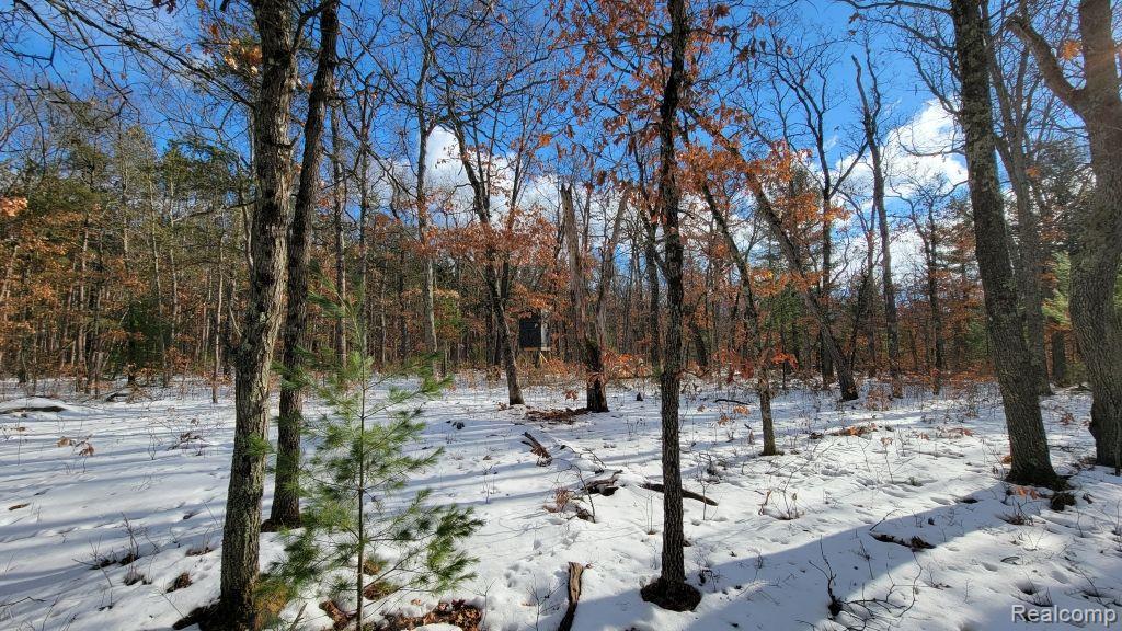 8879 9 Mile Bridge Road Manistee, MI 49660 - Photo 6 of 34